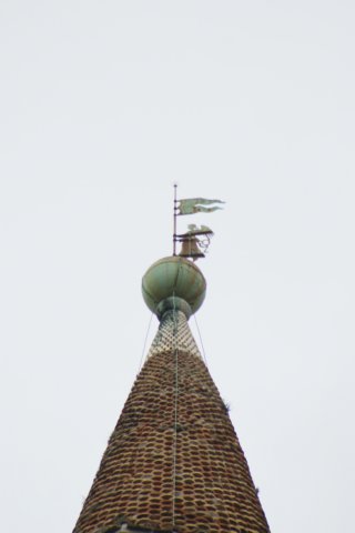 dsc02976.jpg