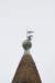 dsc02976_small.jpg