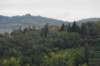 dsc029781_small.jpg