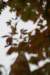 dsc02980_small.jpg