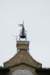 dsc03000_small.jpg