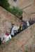 dsc03006_small.jpg