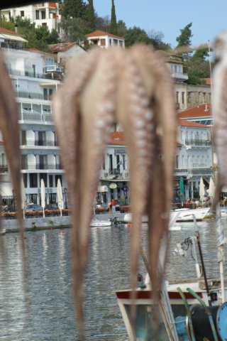 dsc03095.jpg