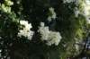 dsc03104_small.jpg