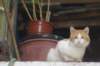 dsc031141_small.jpg