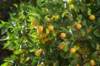 dsc03119_small.jpg