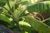 dsc03122_small.jpg
