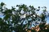 dsc03129_small.jpg