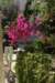 dsc031311_small.jpg