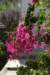 dsc03132_small.jpg