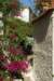 dsc03134_small.jpg