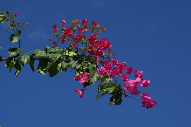 dsc03150.jpg