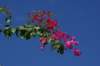 dsc03150_small.jpg