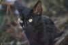 dsc03151_small.jpg
