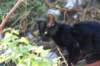 dsc03152_small.jpg