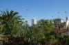dsc03164_small.jpg