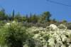 dsc03165_small.jpg