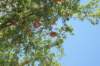 dsc03166_small.jpg
