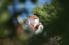 dsc03170_small.jpg