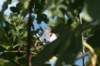 dsc03171_small.jpg