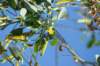 dsc03172_small.jpg