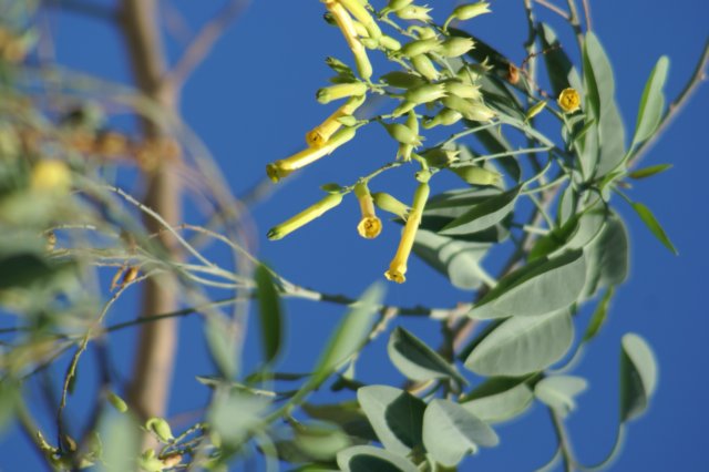 dsc03173.jpg