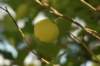 dsc03174_small.jpg