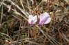 dsc03239_small.jpg