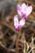 dsc03241_small.jpg