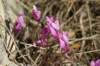dsc03245_small.jpg