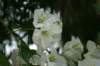 dsc03256_small.jpg