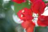 dsc03259_small.jpg