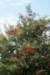 dsc03261_small.jpg