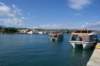 dsc03262_small.jpg