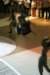 dsc03320_small.jpg