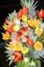 dsc03346_small.jpg