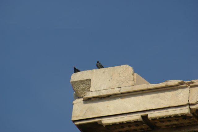dsc03392.jpg