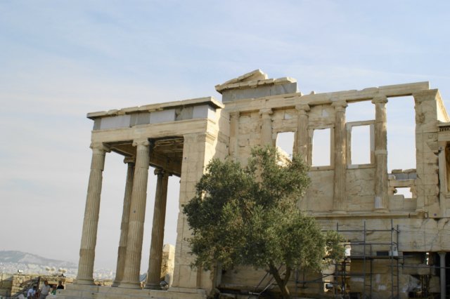 dsc033981.jpg