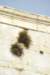 dsc03417_small.jpg