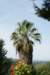 dsc03438_small.jpg