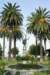 dsc03441_small.jpg