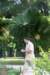 dsc03442_small.jpg