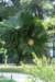 dsc03445_small.jpg