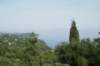 dsc03449_small.jpg