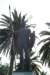 dsc03451_small.jpg