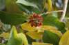 dsc03456_small.jpg