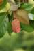 dsc03457_small.jpg