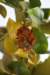 dsc03458_small.jpg