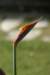 dsc03460_small.jpg