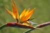 dsc03461_small.jpg